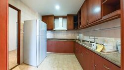 Dover Parkview (D5), Condominium #580818521